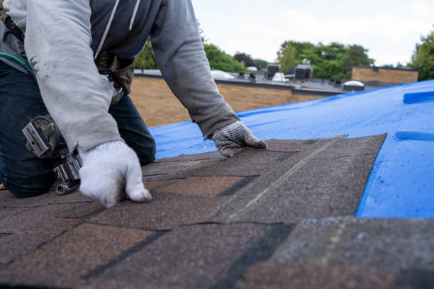 Best Affordable Roofing Company  in Niagara, WI
